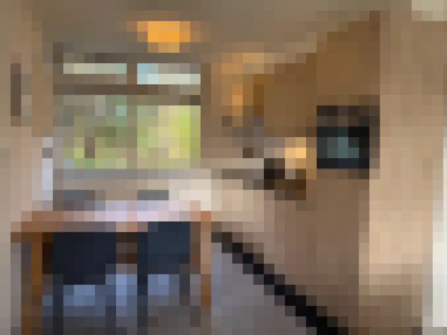 Slufterweg 8 De Cocksdorp thumbnail 11