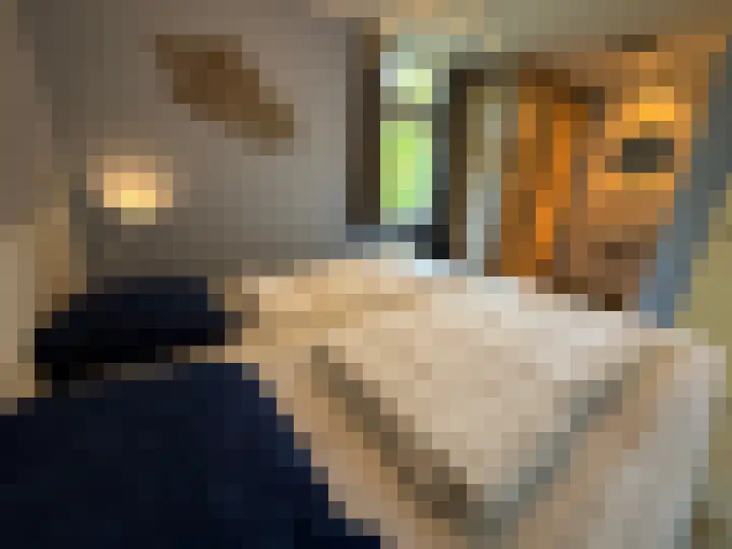 Slufterweg 8 De Cocksdorp thumbnail 13