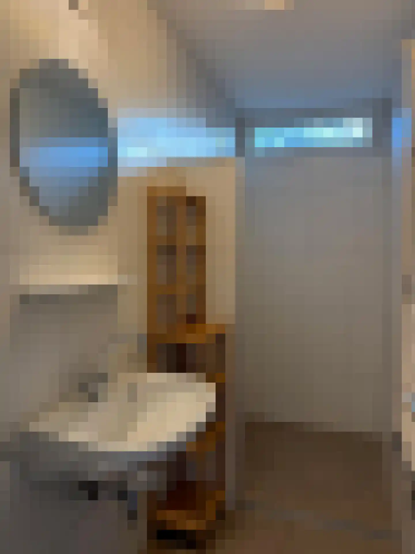 Slufterweg 8 De Cocksdorp thumbnail 15