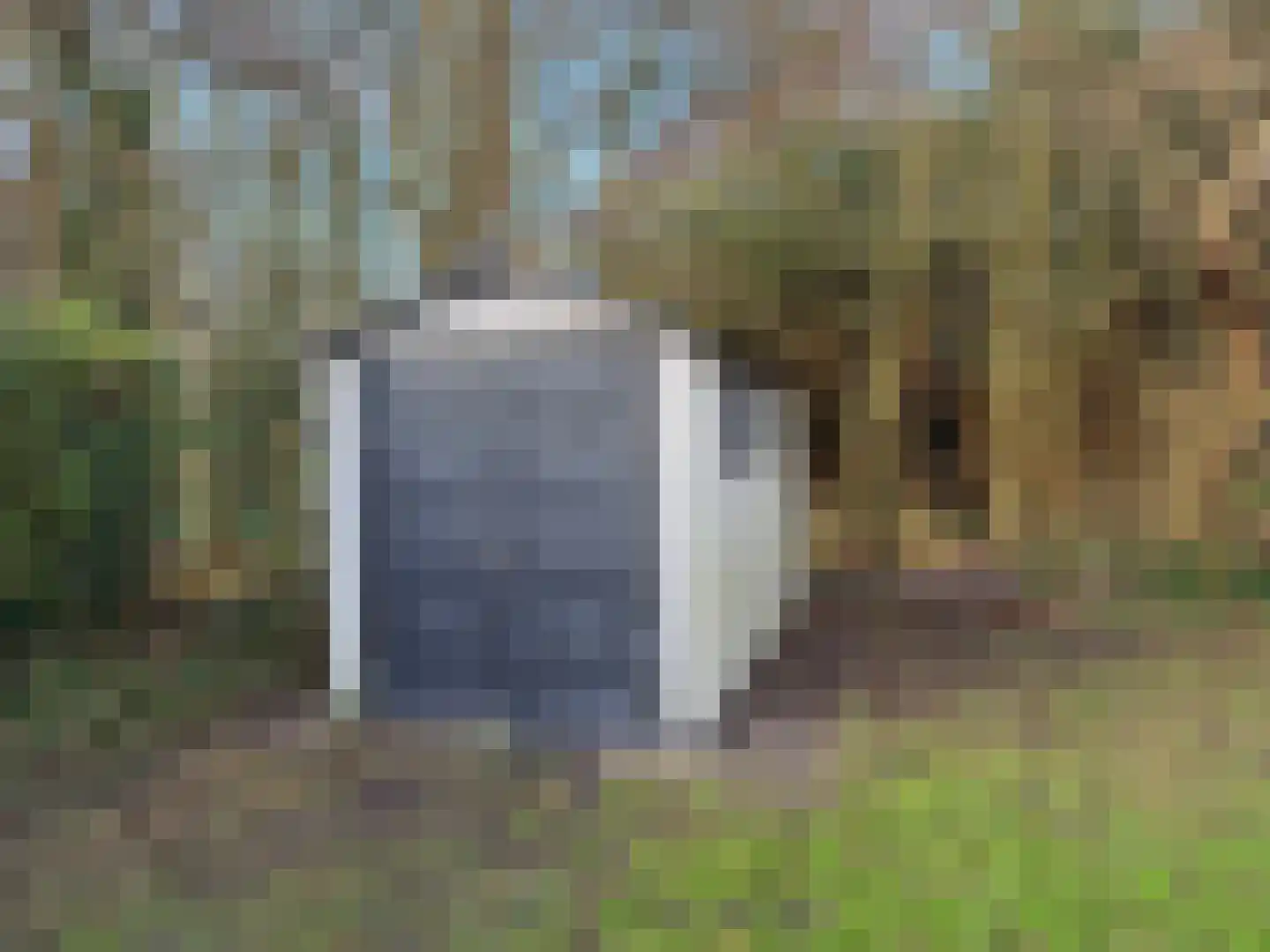 Slufterweg 8 De Cocksdorp thumbnail 18