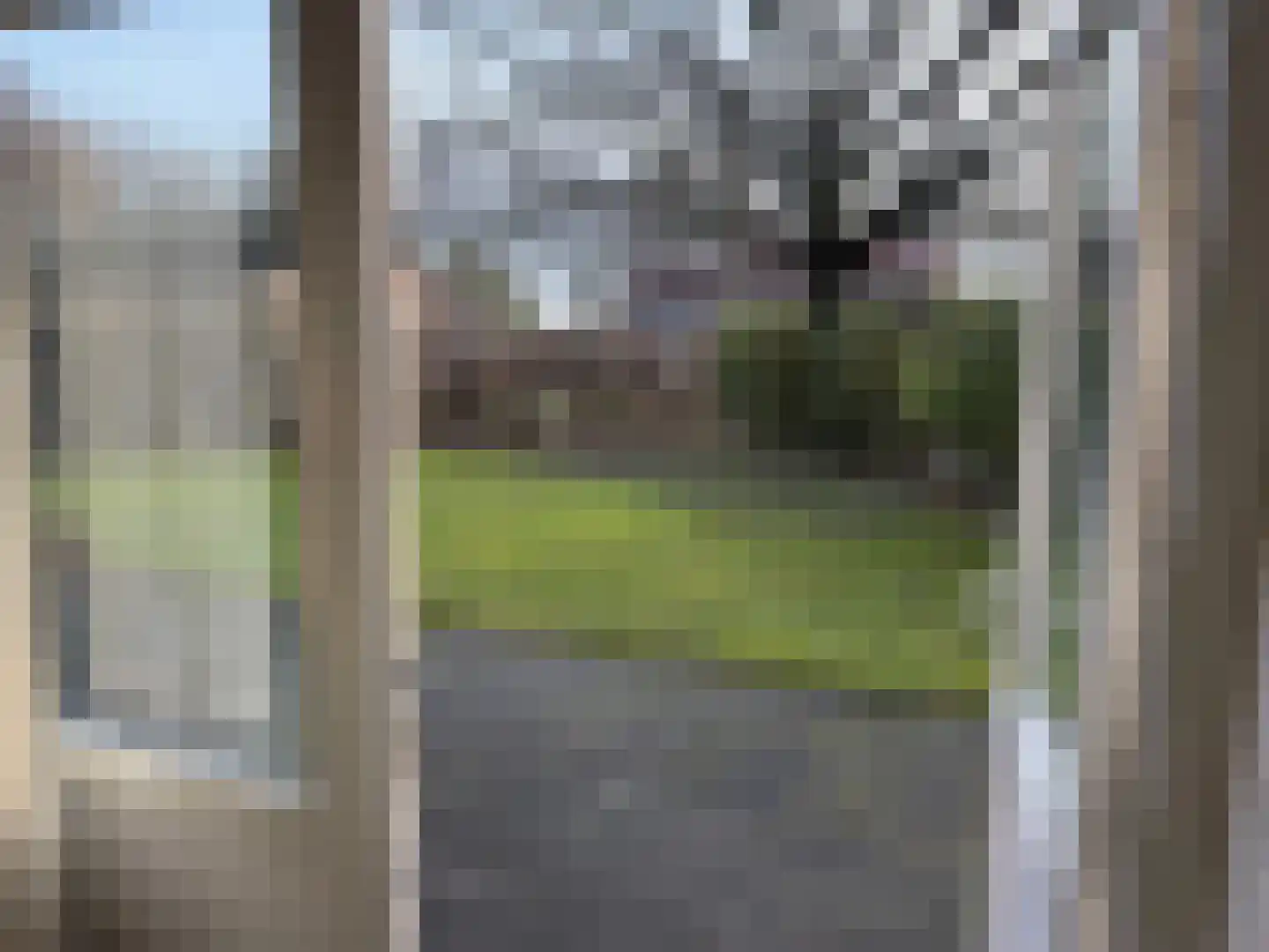 Slufterweg 8 De Cocksdorp thumbnail 5