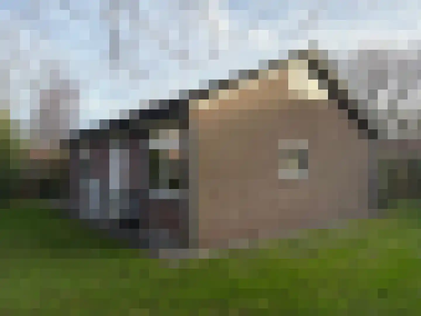 Slufterweg 8 De Cocksdorp thumbnail 6