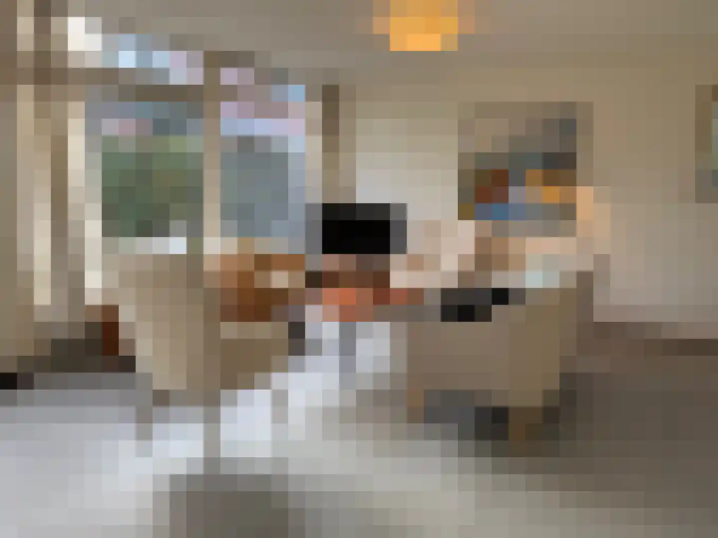 Slufterweg 8 De Cocksdorp thumbnail 8