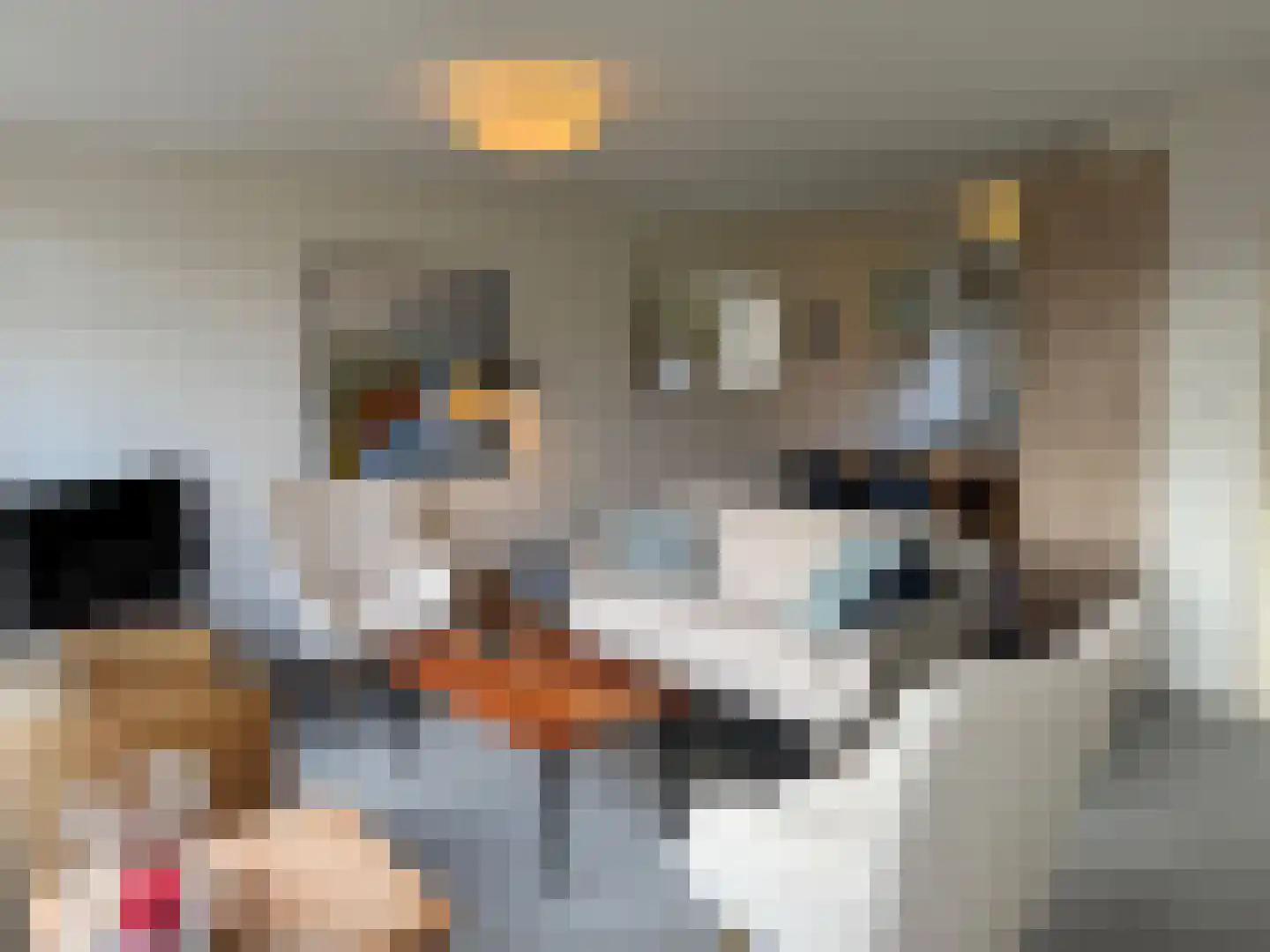 Slufterweg 8 De Cocksdorp thumbnail 9