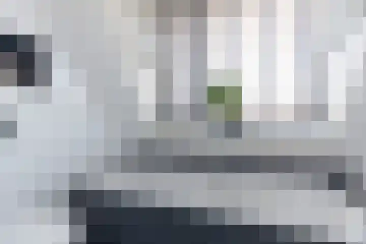 Sluijtershof 19 Oosterhout thumbnail 18
