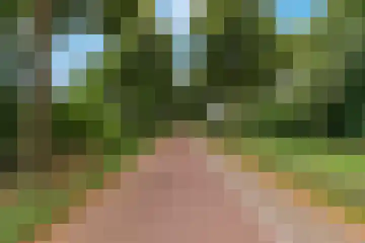 Sluijtershof 19 Oosterhout thumbnail 27