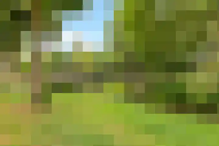 Sluijtershof 19 Oosterhout thumbnail 29