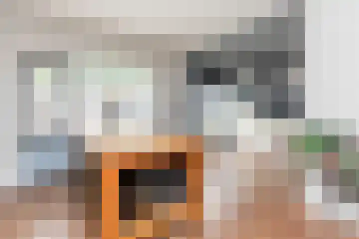 Sluijtershof 19 Oosterhout thumbnail 4