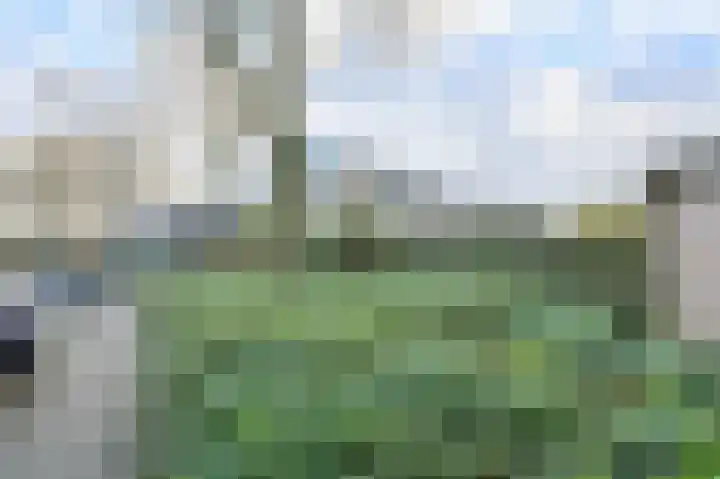 Sluijtershof 2 Oosterhout thumbnail 10