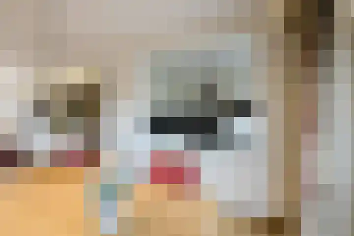 Sluijtershof 2 Oosterhout thumbnail 20
