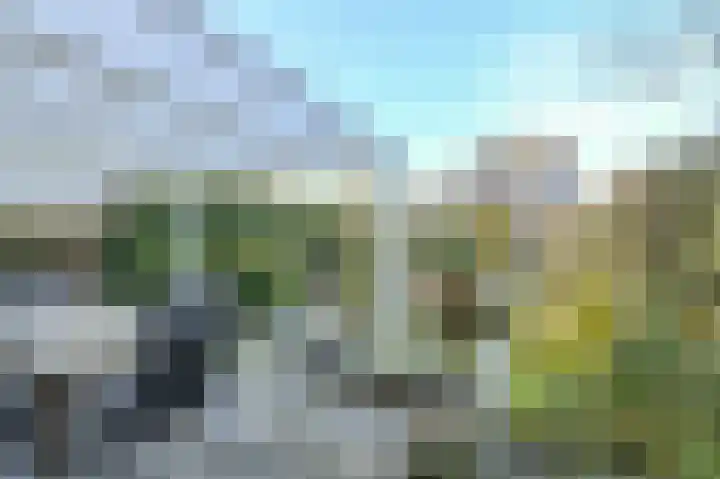 Sluijtershof 2 Oosterhout thumbnail 41