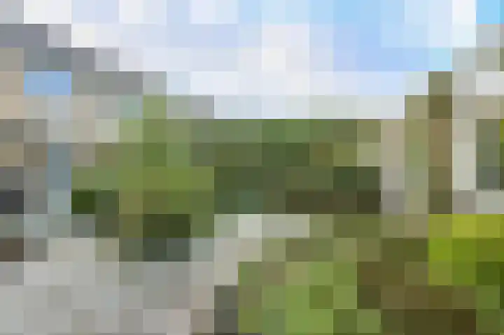 Sluijtershof 2 Oosterhout thumbnail 44