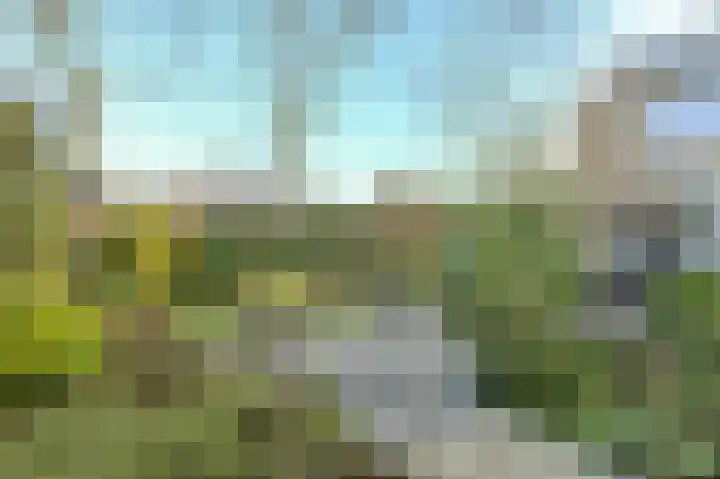 Sluijtershof 2 Oosterhout thumbnail 45