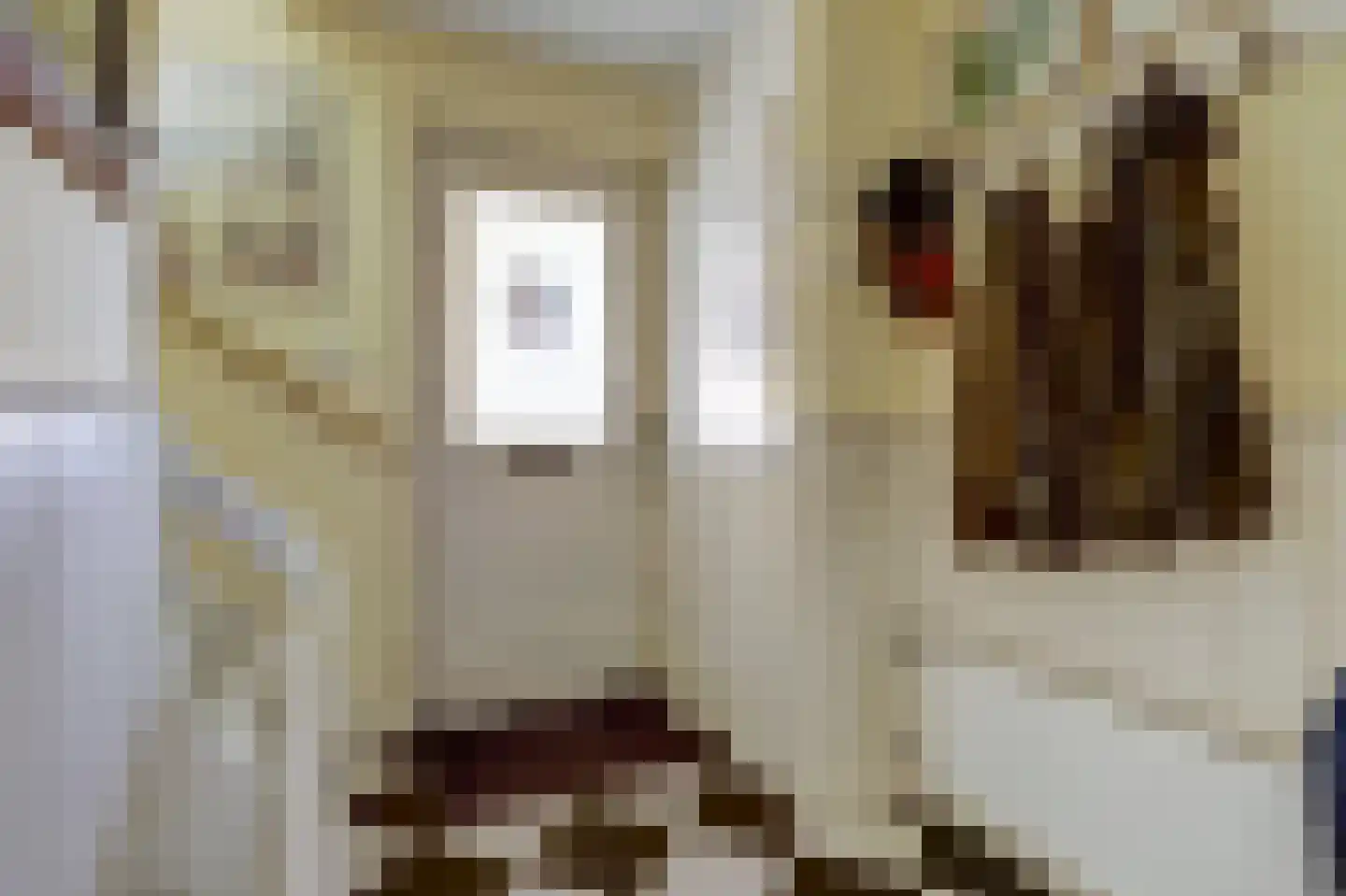 Sluimerskamp 8 Herwijnen thumbnail 13