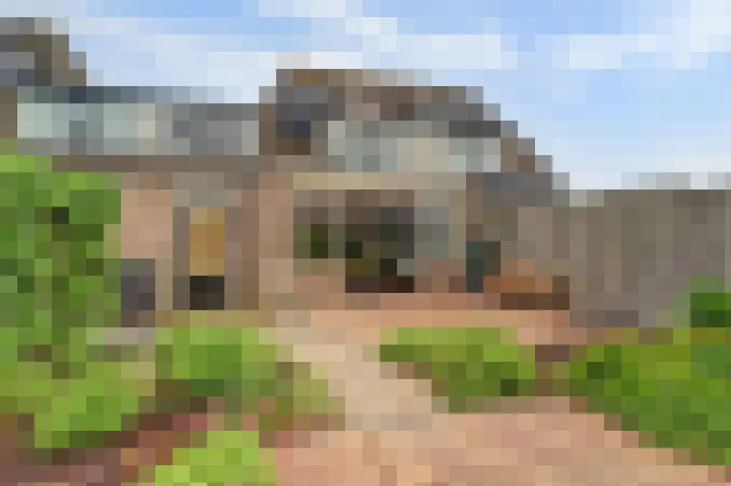 Sluimerskamp 8 Herwijnen thumbnail 31