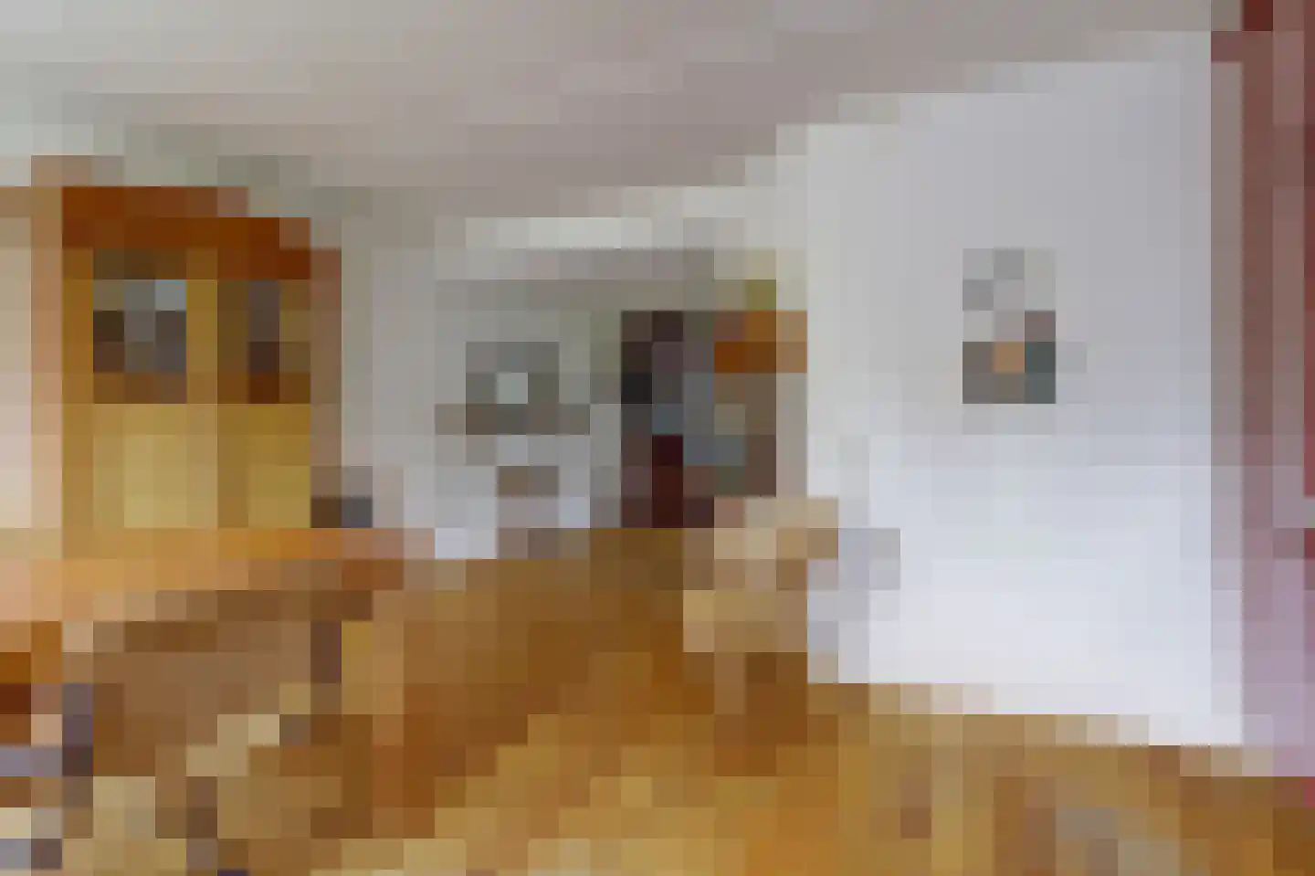 Sluimerskamp 8 Herwijnen thumbnail 9