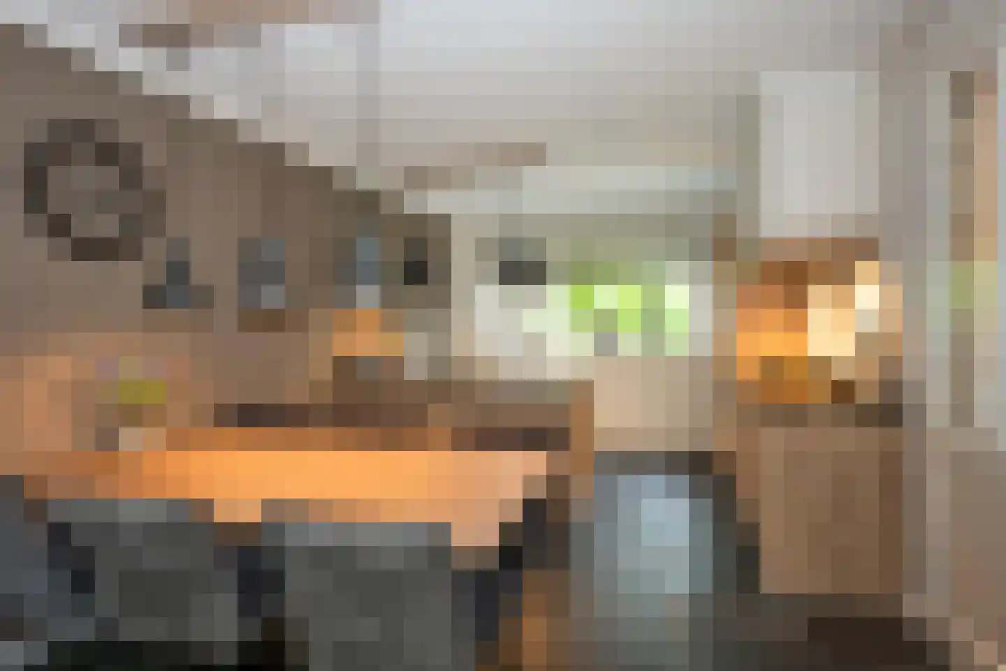 Sluis 13 Borne thumbnail 13