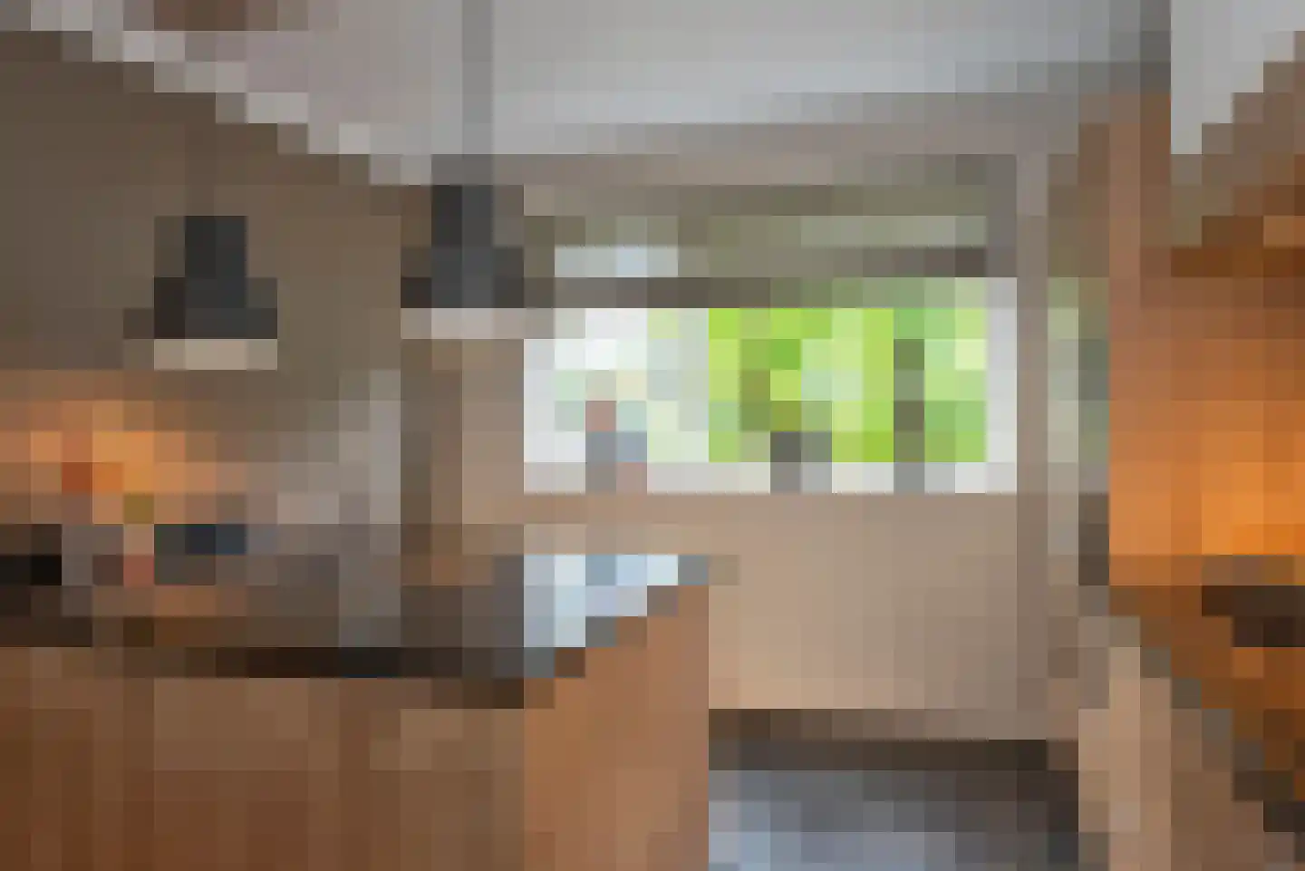 Sluis 13 Borne thumbnail 18