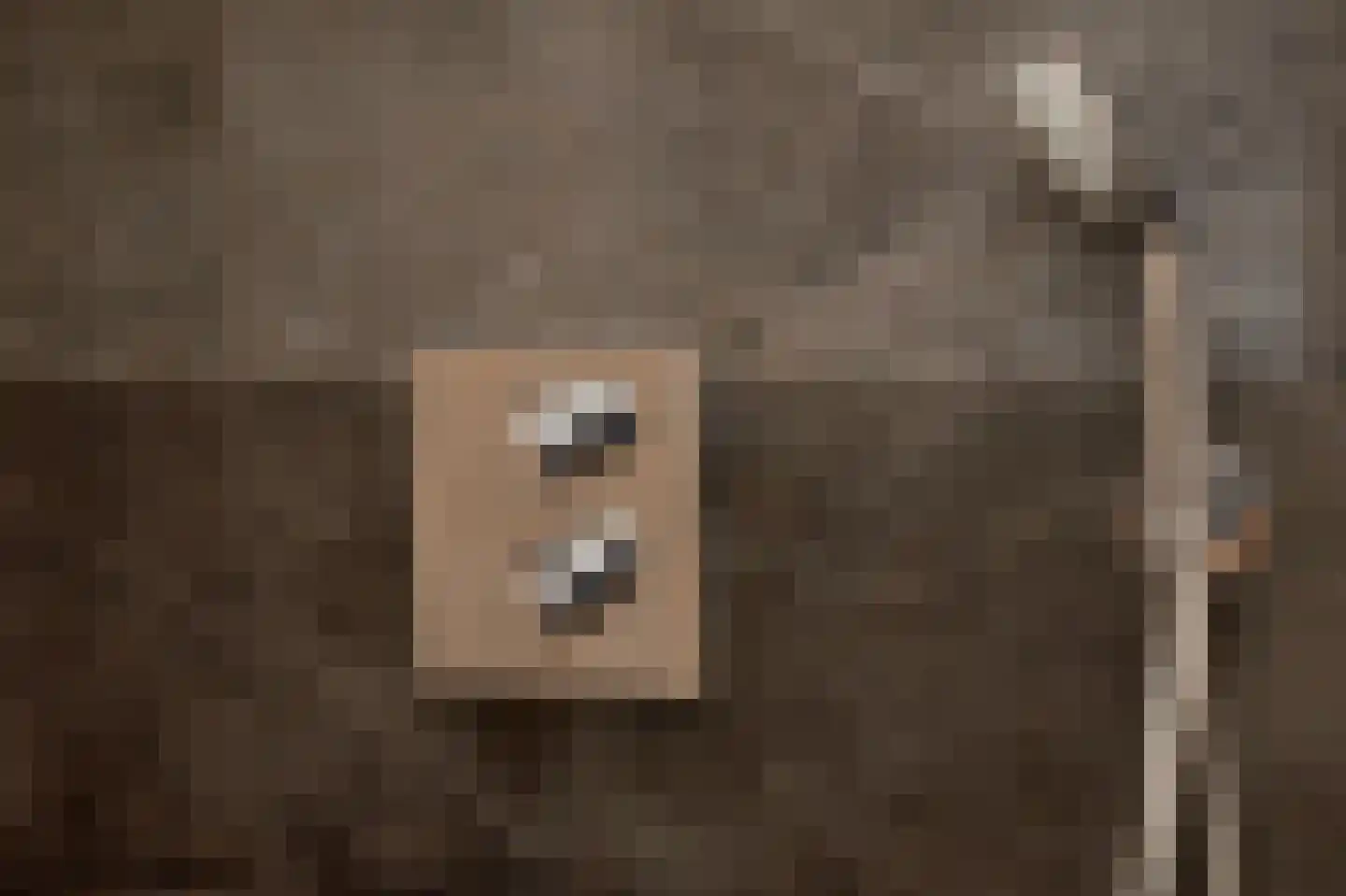 Sluis 13 Borne thumbnail 25