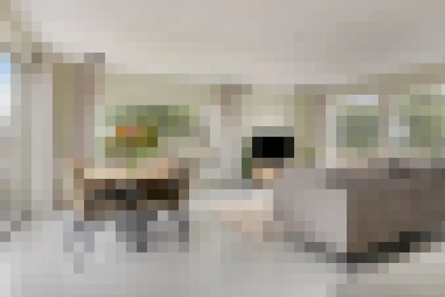 Sluis 13 Nieuwe Wetering thumbnail 5
