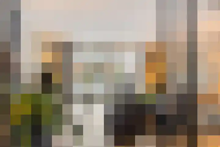 Sluis 15 Borne thumbnail 24