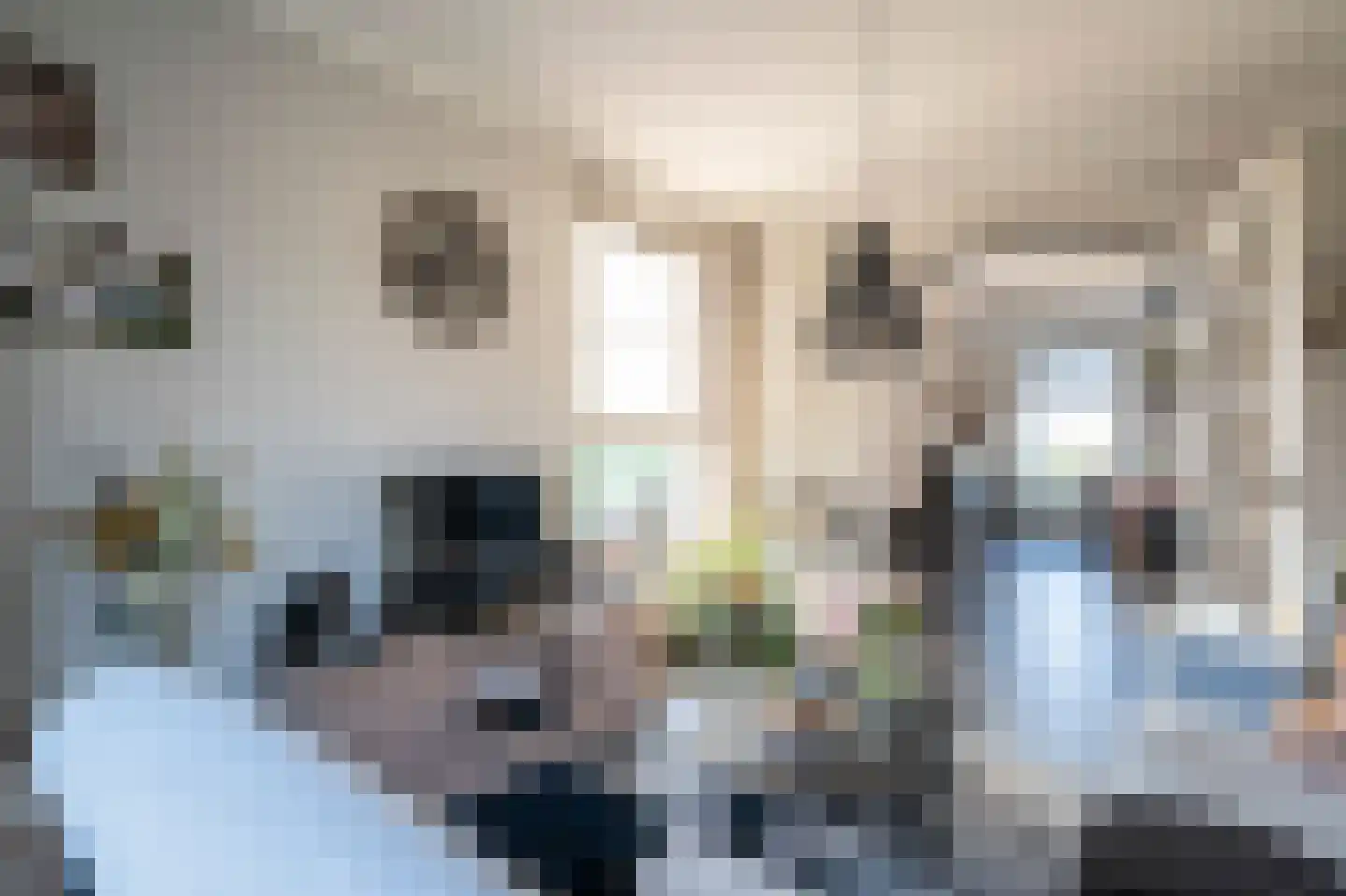 Sluis 3 Ameide thumbnail 15