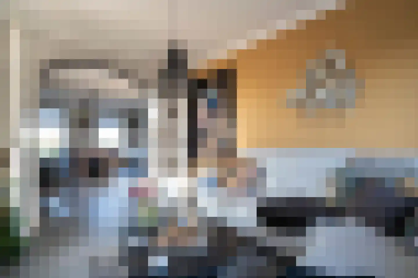 Sluis 3 Ameide thumbnail 16
