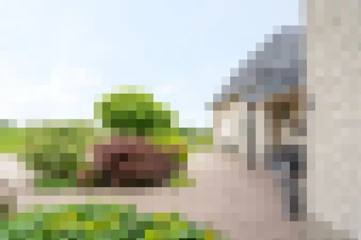 Sluis 3 Ameide thumbnail 6