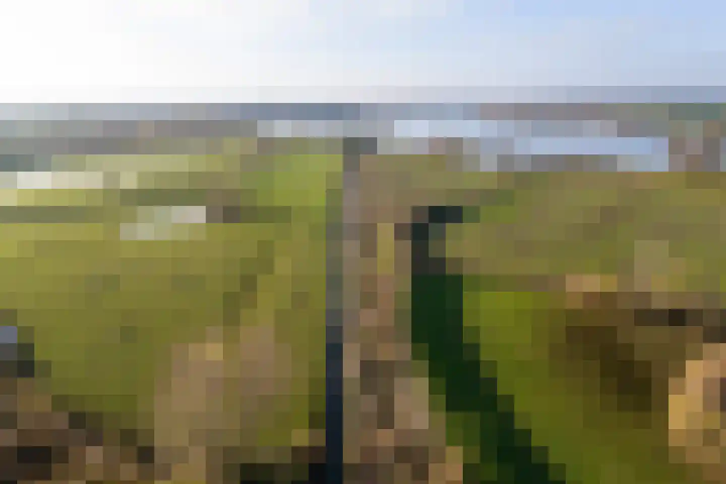 Sluis 3 Ameide thumbnail 70