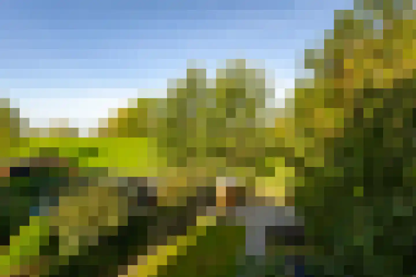 Sluis 32 Groot-Ammers thumbnail 14