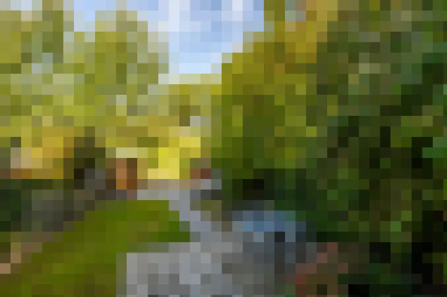 Sluis 32 Groot-Ammers thumbnail 40