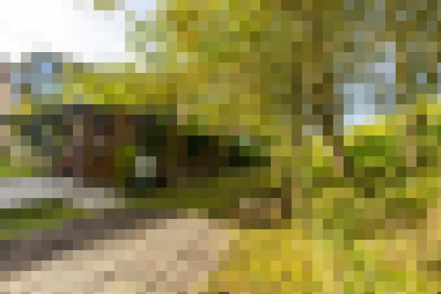 Sluis 32 Groot-Ammers thumbnail 45