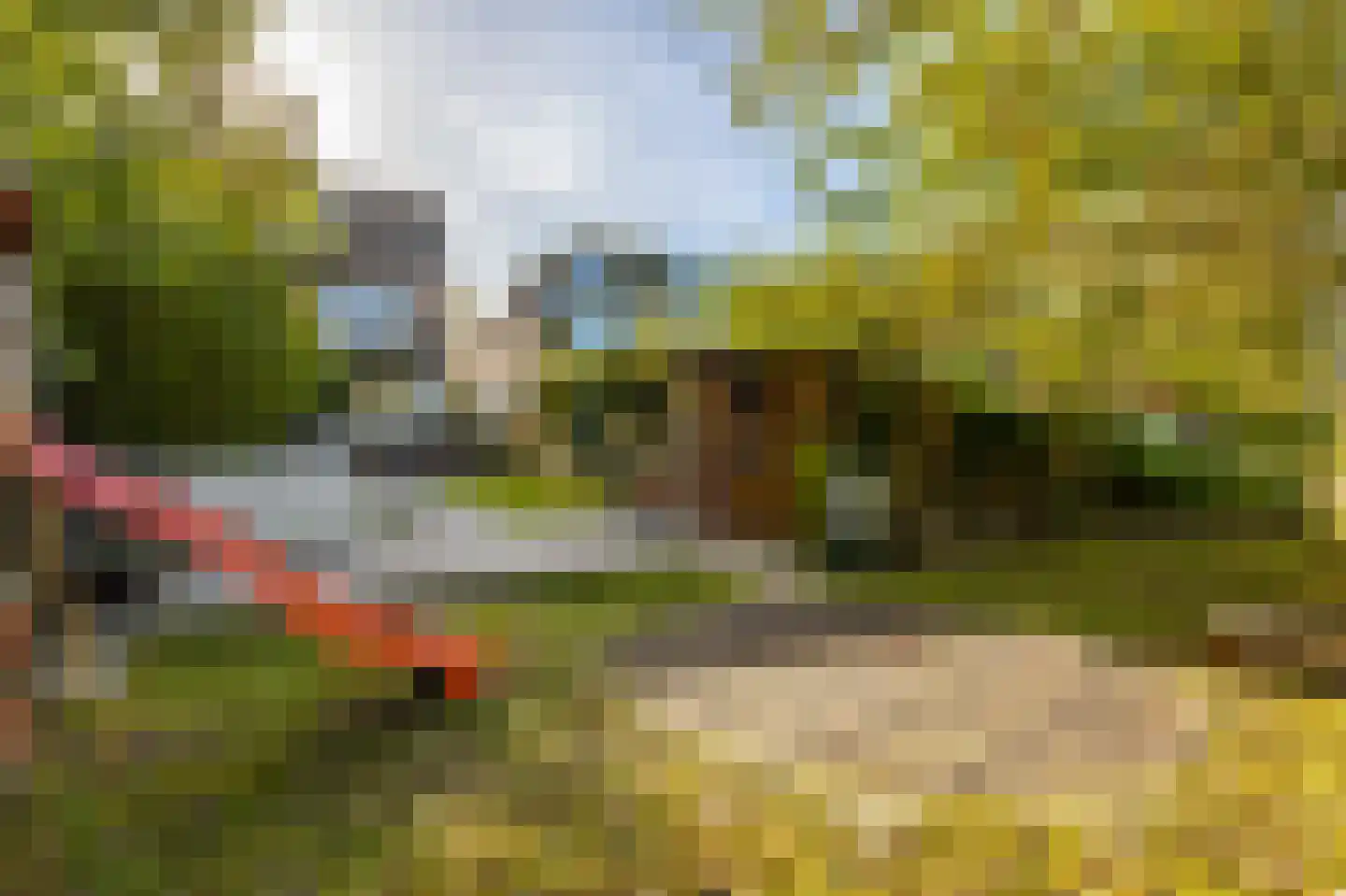 Sluis 32 Groot-Ammers thumbnail 46