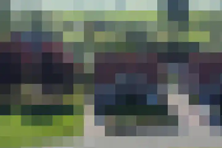 Sluis 55 in Groot-Ammers