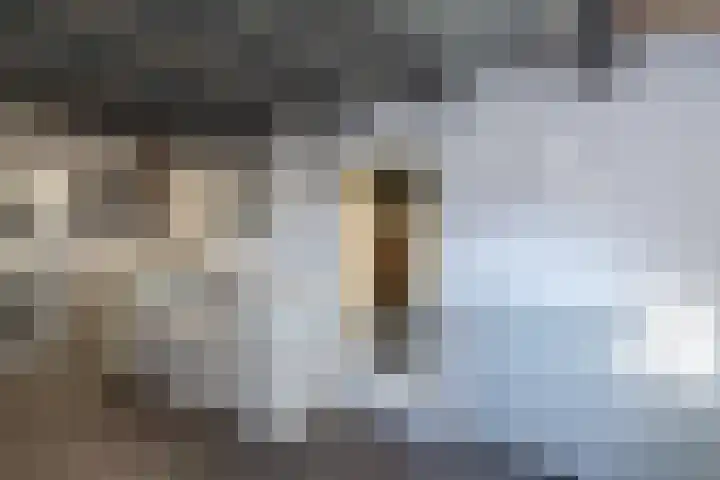 Sluis 55 Groot-Ammers thumbnail 22