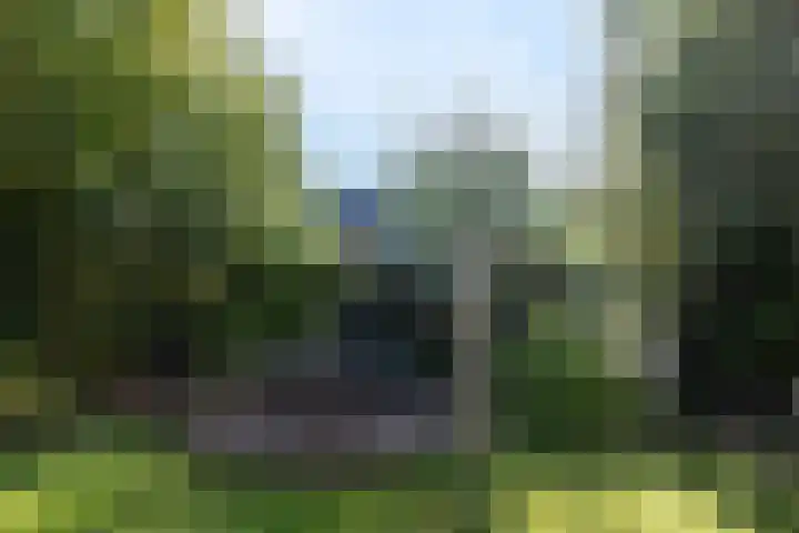 Sluis 55 Groot-Ammers thumbnail 25