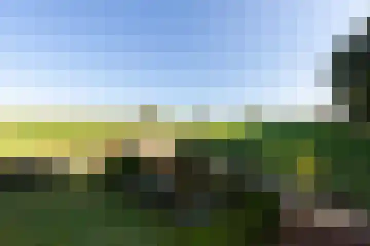 Sluis 55 Groot-Ammers thumbnail 30