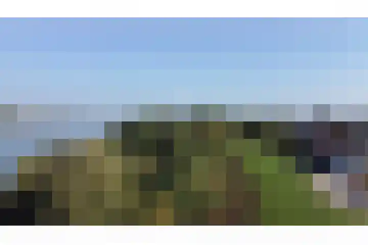 Sluis 55 Groot-Ammers thumbnail 32