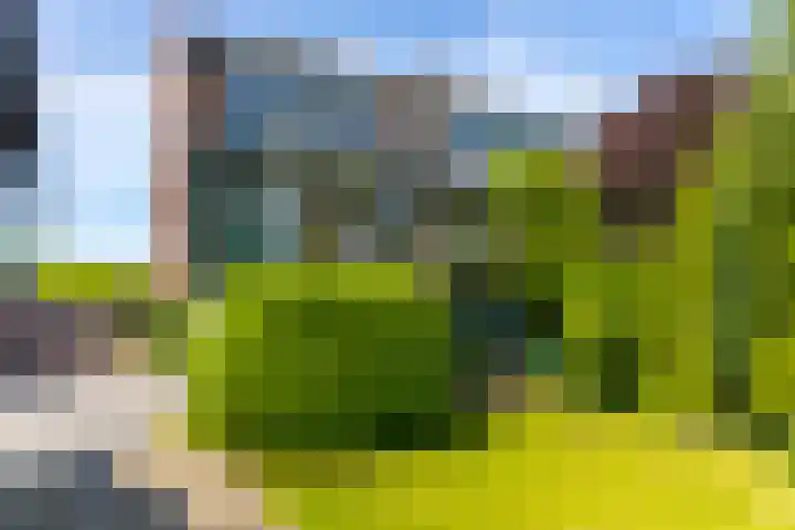 Sluis 57 Groot-Ammers thumbnail 5