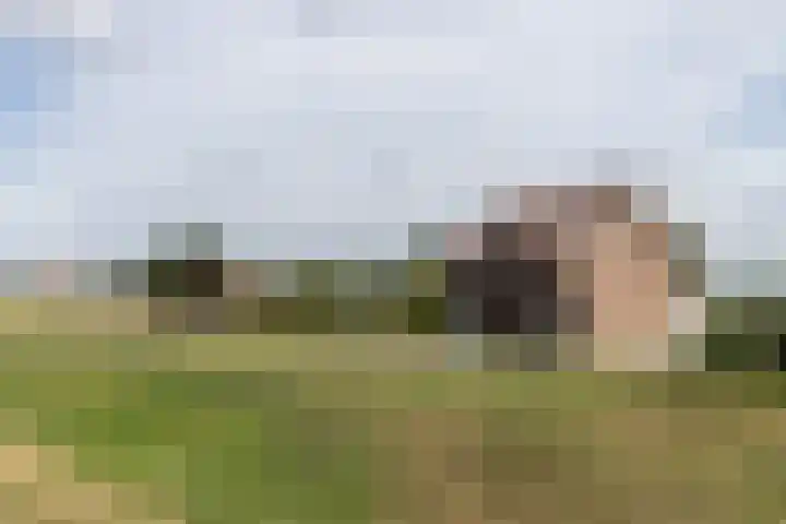 Sluis 63 in Groot-Ammers