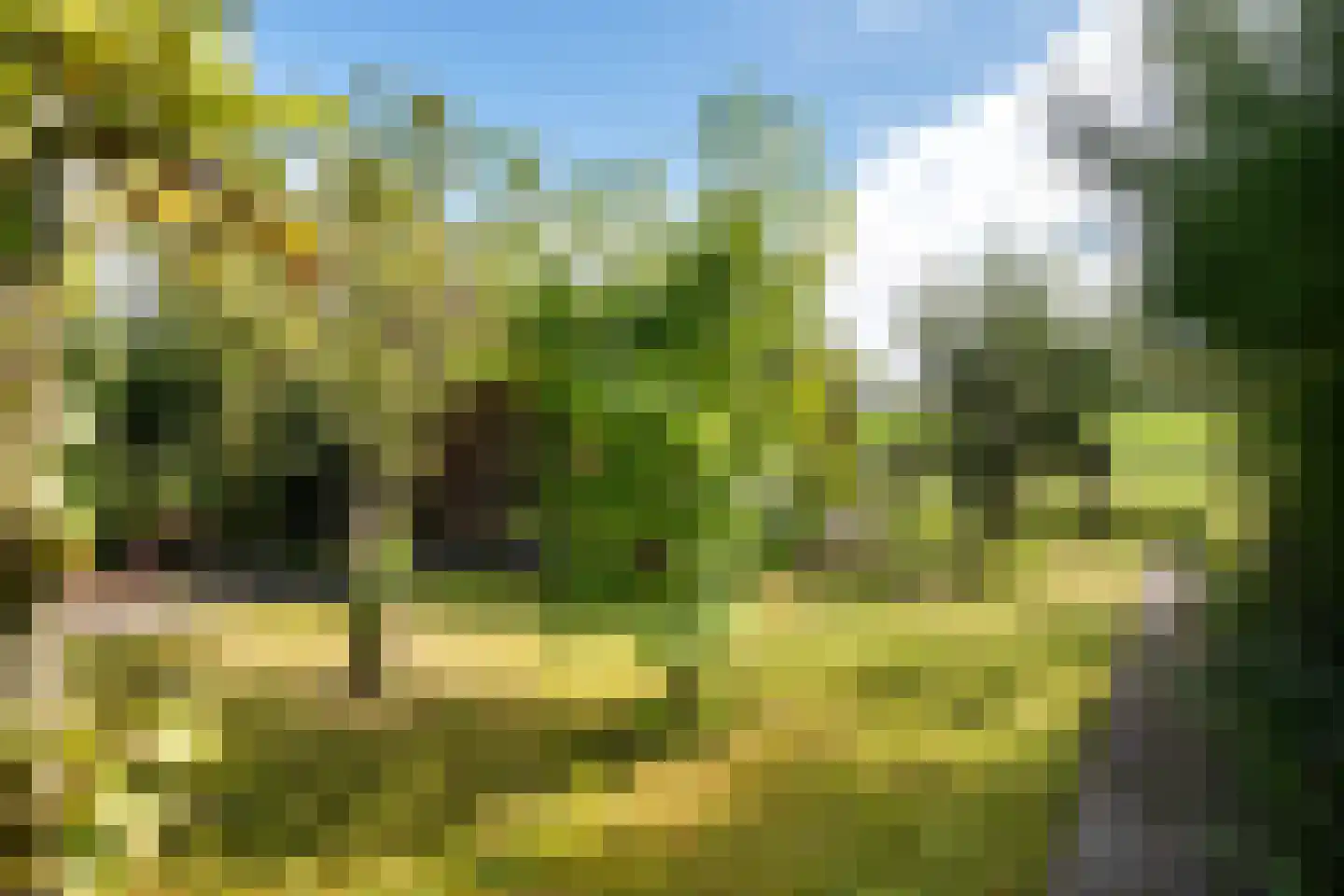 Sluis 8 Delfzijl thumbnail 16