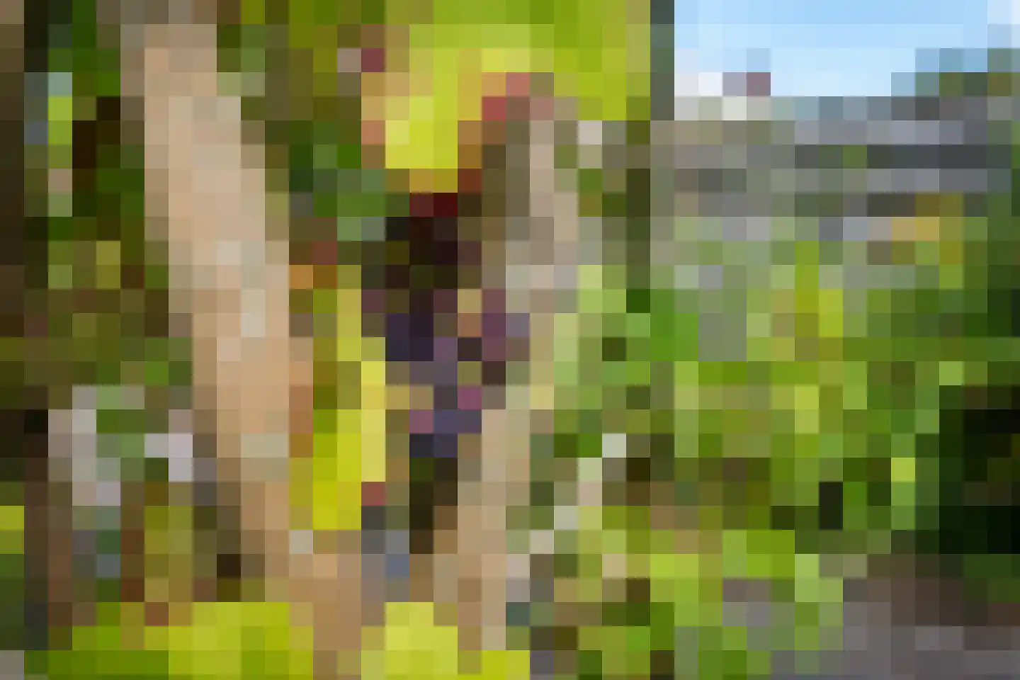 Sluis 8 Delfzijl thumbnail 17