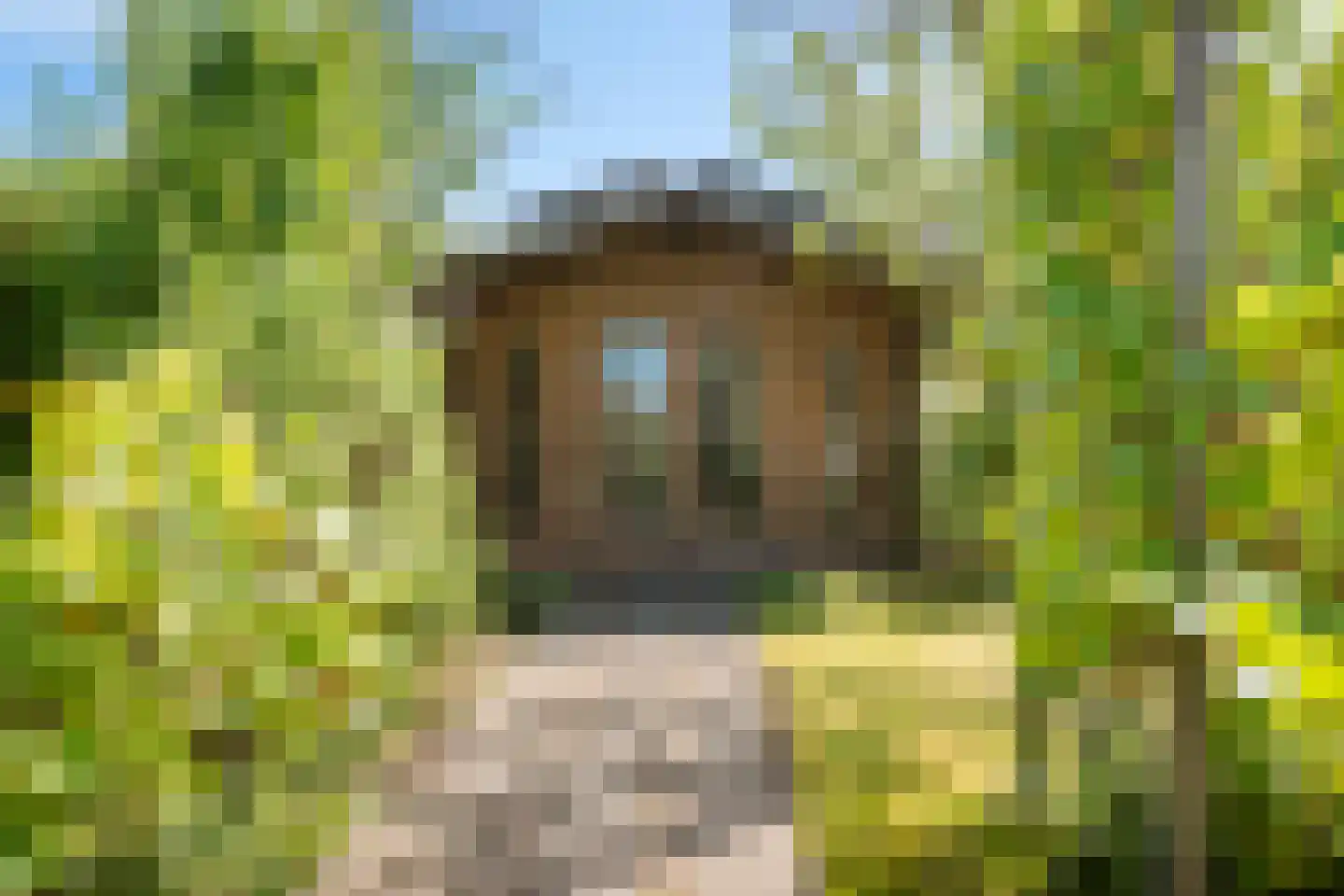 Sluis 8 Delfzijl thumbnail 20