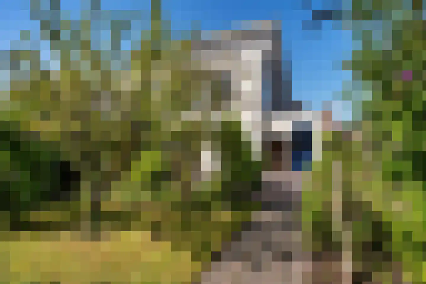 Sluis 8 Delfzijl foto 3