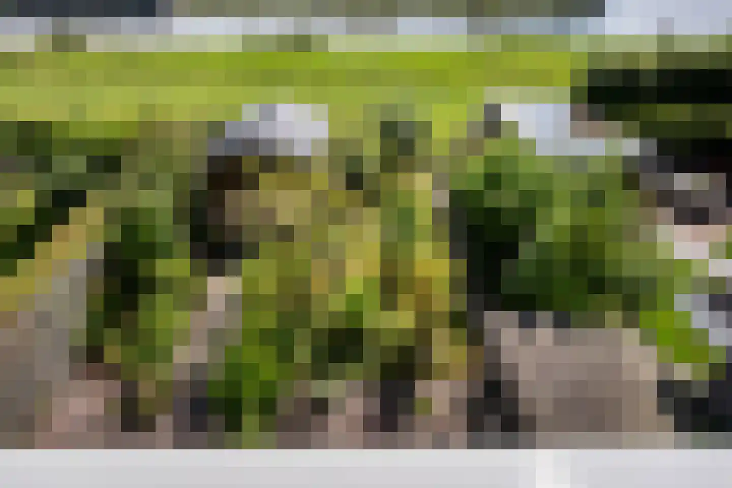 Sluis 8 Delfzijl thumbnail 42