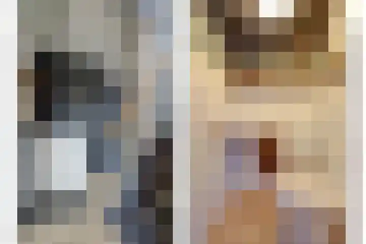 Sluis Noord 8 Wijk bij Duurstede thumbnail 15