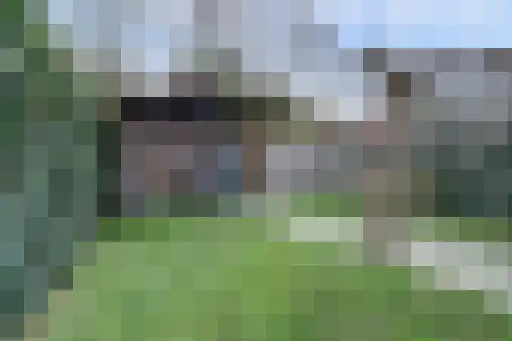 Sluis Noord 8 Wijk bij Duurstede thumbnail 31