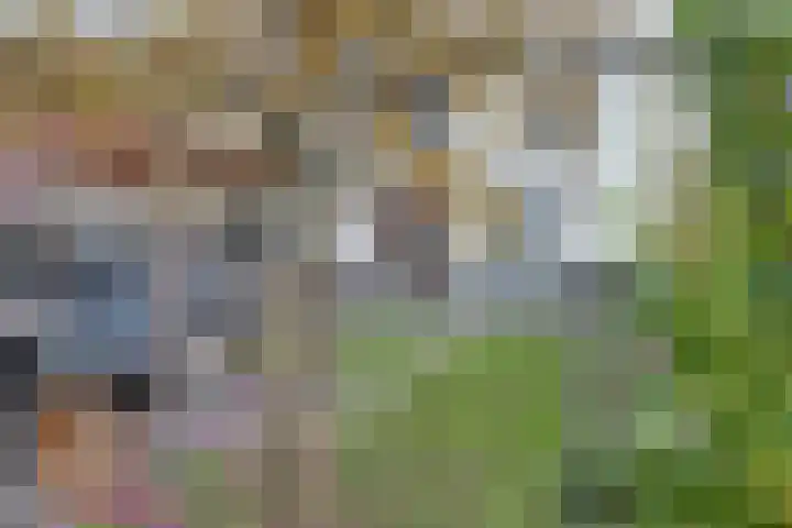 Sluis Noord 8 Wijk bij Duurstede thumbnail 38