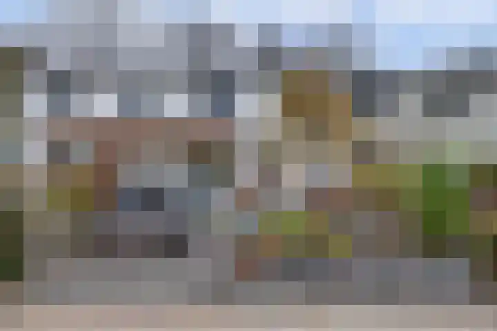 Sluis Noord 8 Wijk bij Duurstede thumbnail 40