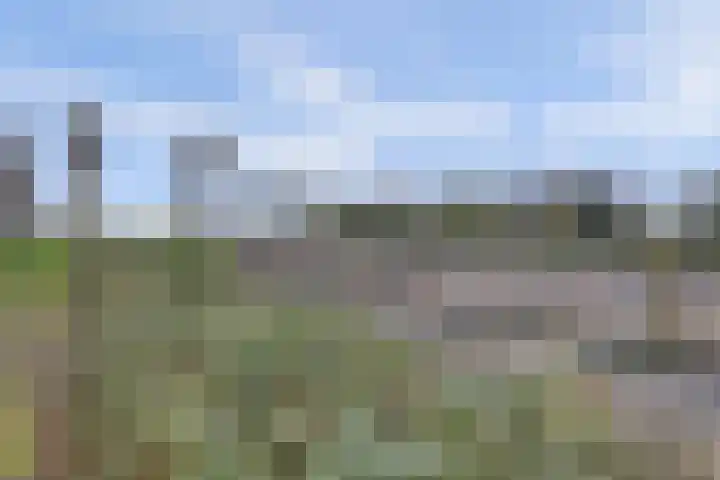 Sluis Noord 8 Wijk bij Duurstede thumbnail 46